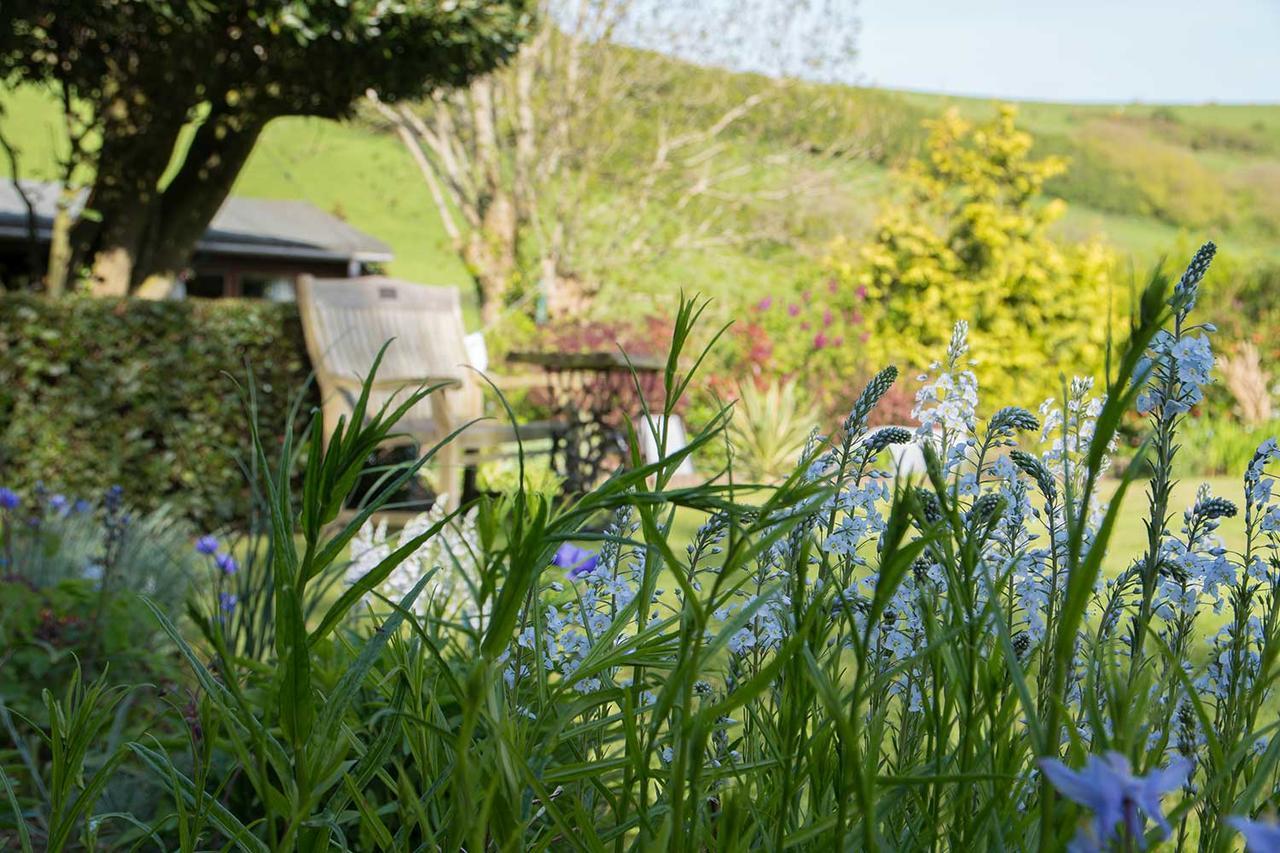 Combas Farm Otel Braunton Dış mekan fotoğraf